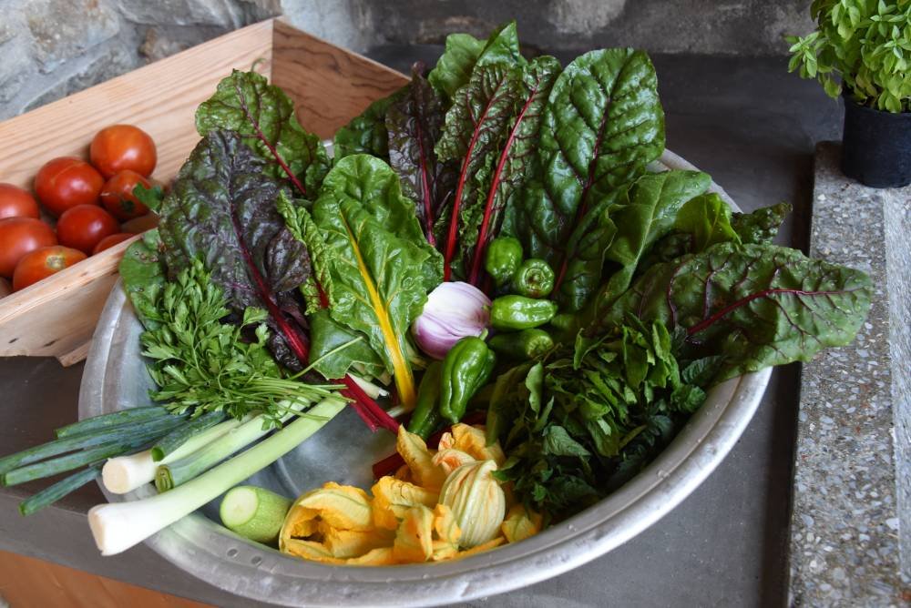 Organic Farm to table cooking class  