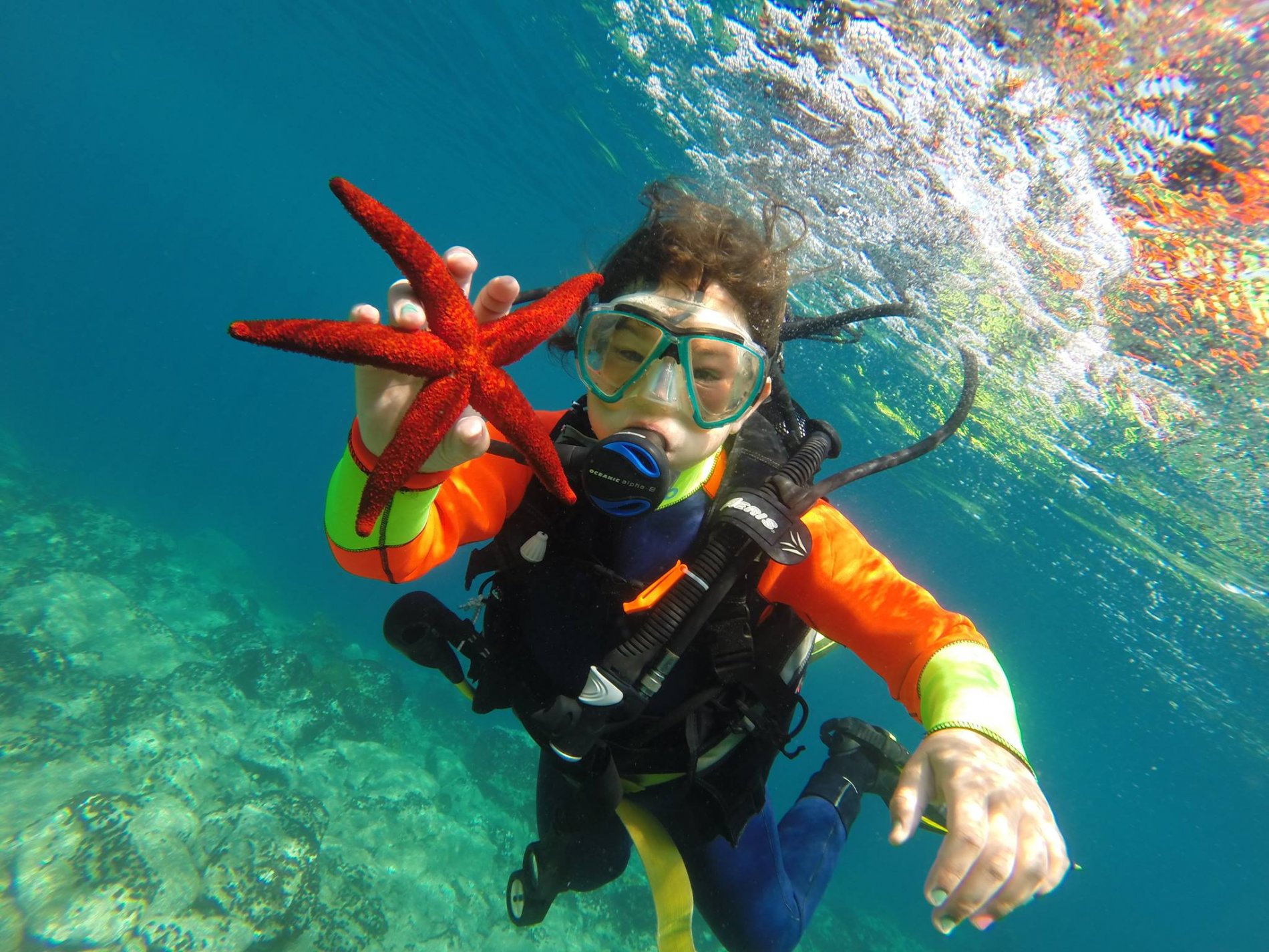 Scuba Diving Experience 
